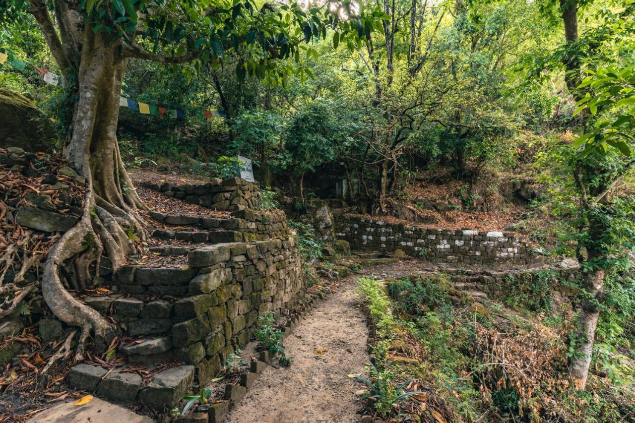 Vista Hostel Jeolikote, Nainital Patwa Dunga Eksteriør bilde