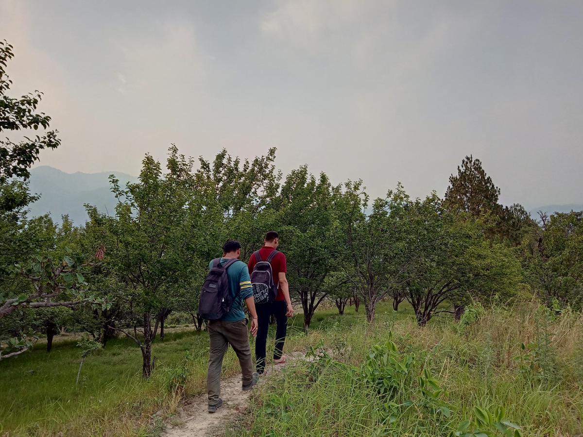Vista Hostel Jeolikote, Nainital Patwa Dunga Eksteriør bilde