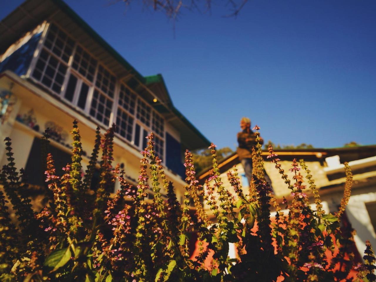 Vista Hostel Jeolikote, Nainital Patwa Dunga Eksteriør bilde